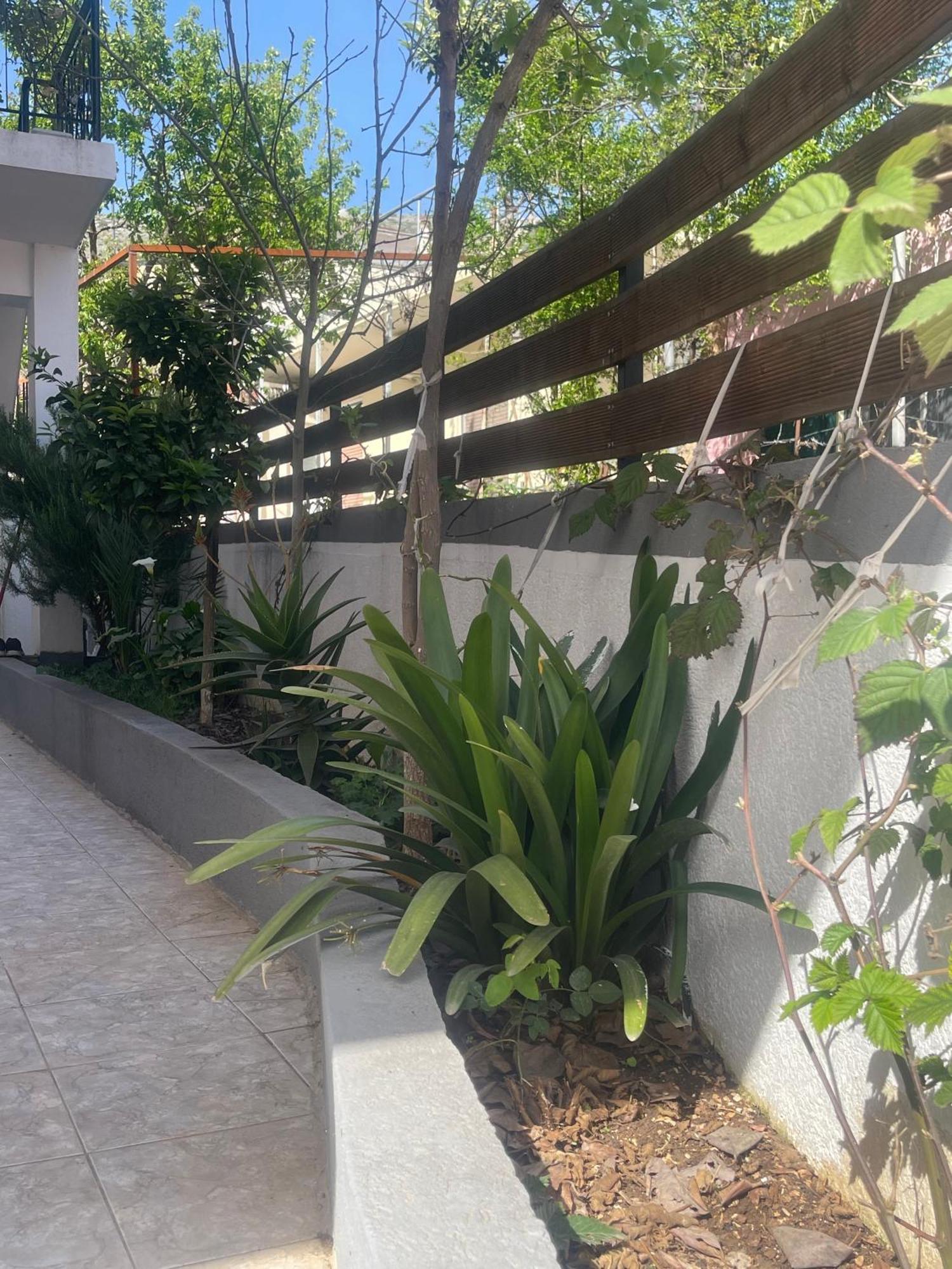 Sunflower Apartments Sarande Bagian luar foto